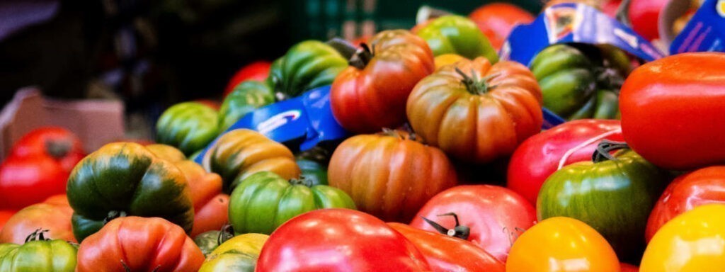 Tomaten aus dem Baskenland | Online-Feinkost | Maison des Saveurs | Bei Feines Frankreich einkaufen